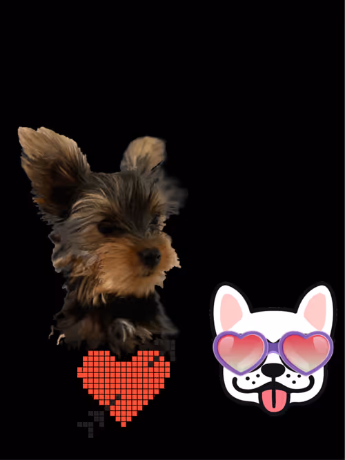 Item #104436702811462437734086772813711904180580263858464990188133305434850893758465 Media