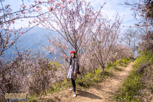 Item #100744422725674417057824683306763013505668843176654858816283484006599303888897 Media