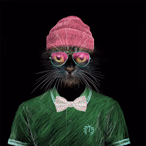 Item #53385941456676190110838339911728309048210199864448931637696851316606486183937 Media