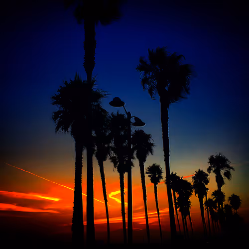 Item #53959197177495014771201938020127458725999398035835080617862468277325145309185 Media