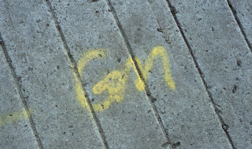 Item #58883327943218482885511625451962166109229848641575055586606686593837950828545 Media