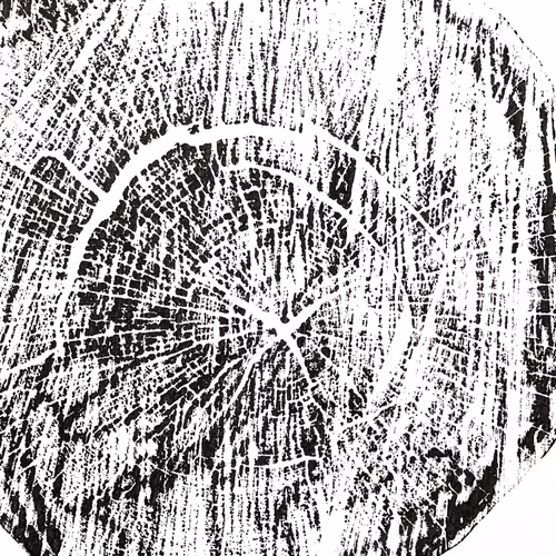 44408188301898263059280005630017205616711493273710408978037287769646542356481