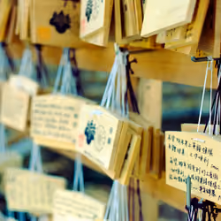 Meiji Jingu Sights #6