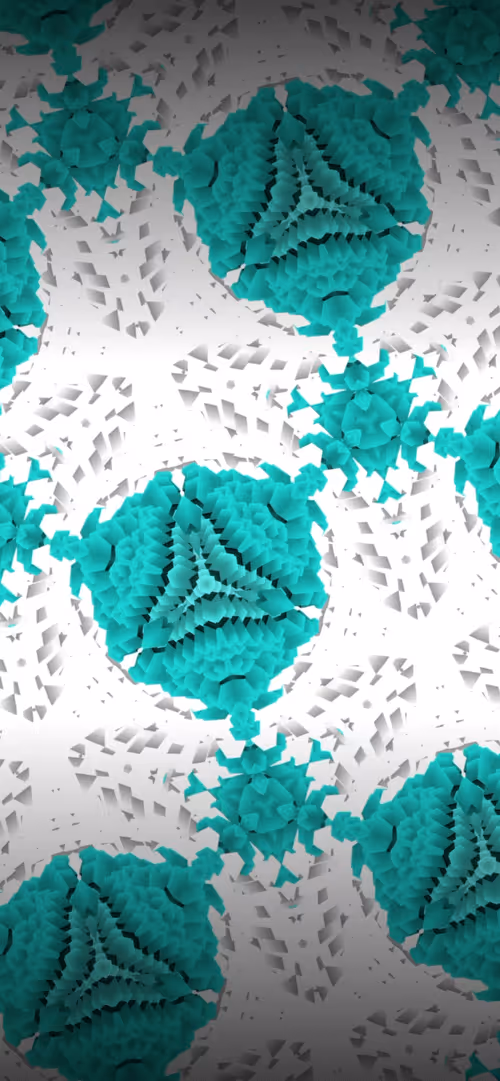 Item #51478908410097262354256894061339969912290355659778245169367797137469773709313 Media