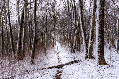 Item #27268559498061748325784621046965527840934976554079147599746578500143489744897 Media