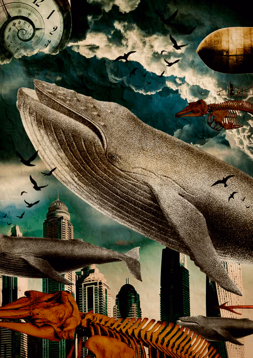 Item #100530806084711796546938868307054534935021688756287630503203483601749191688193 Media