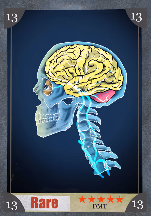 Item #49634217776245546218539595259969457969279212784366281040985922747888213950465 Media