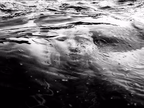 Item #48785457818066054559368395541392267450679449328533831279358886273260244172801 Media