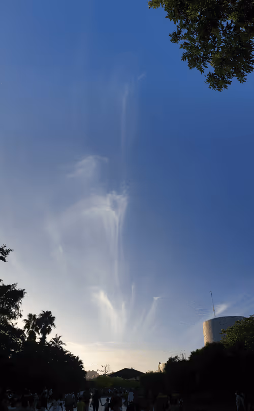 Item #17614174811664634306326023996787173323431895529275668921086189478659546415105 Media