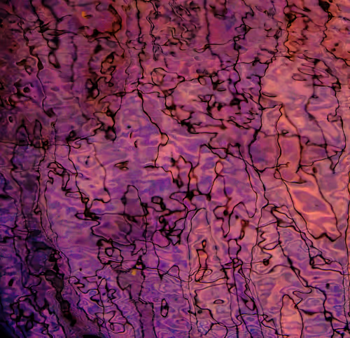 Item #46944938960673813338886078484753725649704761044692071067945505061774538309633 Media