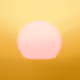 GM Sunshine No39