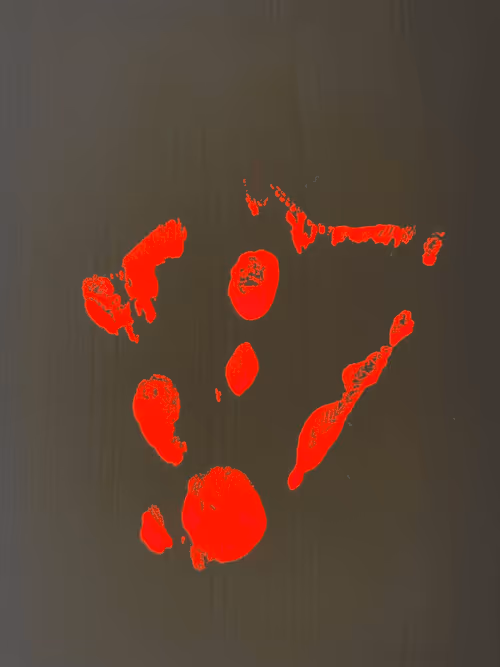 Item #82156306384610747966184862212727550247456131418142315154672423528135456194561 Media
