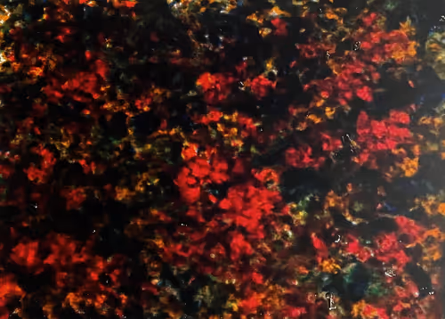 Item #23953230745994406582939997092897091351371610828269103110916008565611494899713 Media