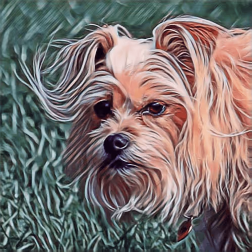 Item #51313302132644519913343847646347811445510524411913136629935893362311264468993 Media