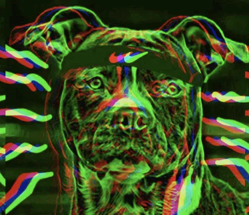 Item #22623297383426892917101335270761698949847758593200202890070986129128525135873 Media