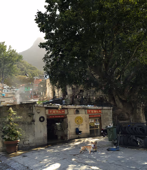 Item #11477097438385743368340173784731115516435805291836350507195325138331936751617 Media