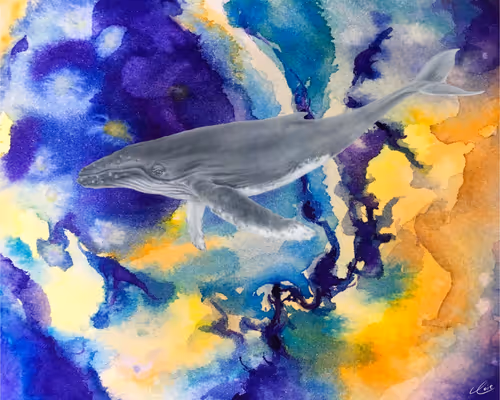 Item #26013058909272370542292119430922783661382614510248329388493898134651798552581 Media