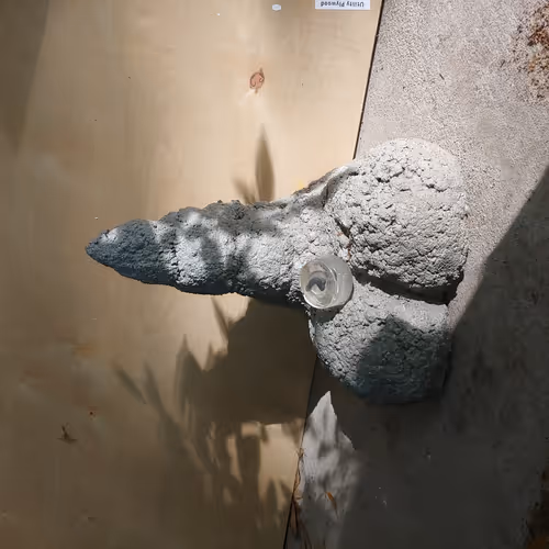 Item #99246253785033290502052006079030293970660446140757034996226596178430307336193 Media