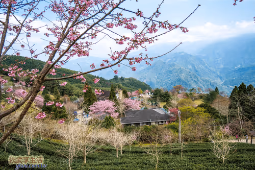 Item #100744422725674417057824683306763013505668843176654858816283483974713466683393 Media