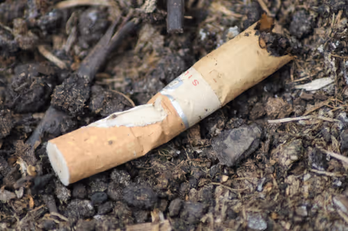 Item #51124555051901614330264480006545612592022390906904121289505624507433143500801 Media