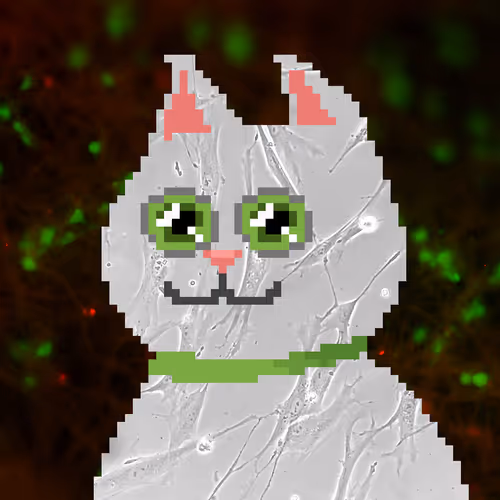 Item #58493016273462154889652918090124212923127131100229357967777918225666545811457 Media