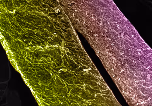 Item #115505927728344181025262329658899620468765138243295584093365708460572450750465 Media