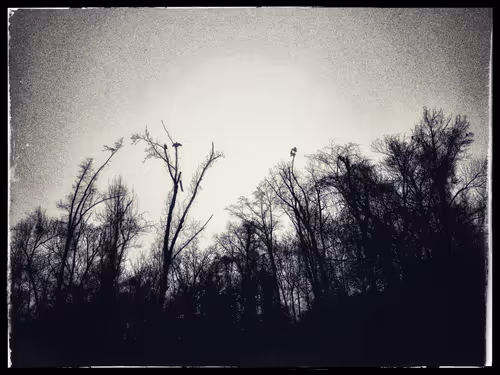 Item #7142574194470404243392590672179659391968725900228458481778768105639048642561 Media