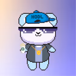 97945508319103564436663400942174378971202180718721938514860618149628433399809