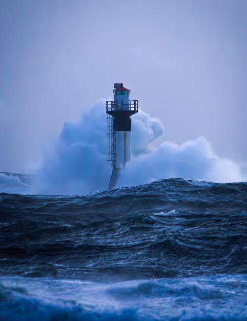 Item #72651886882207206539966383415555664124556444317113885039601297099646270701569 Media