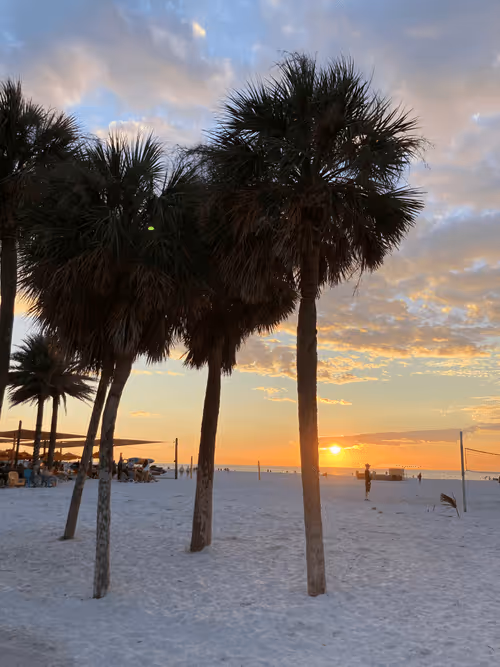 Item #107514593780522626782355902627925871455603649734183757659069085793601126924296 Media