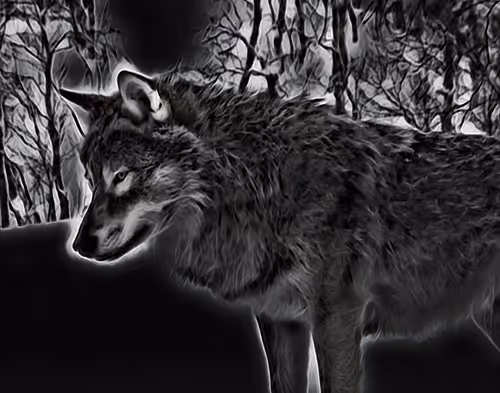 Item #22623297383426892917101335270761698949847758593200202890070986070854408863745 Media