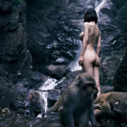 4856346483299859622740228156707386111089389456230392766181717384949523283971