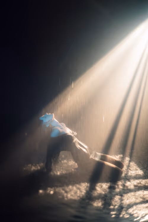 Item #113300456265572054290641269231913614430655375386256613734739386385267211370536 Media