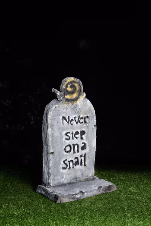 Item #57804796688855264026974714255100123256465046152350675403876709564310169321482 Media