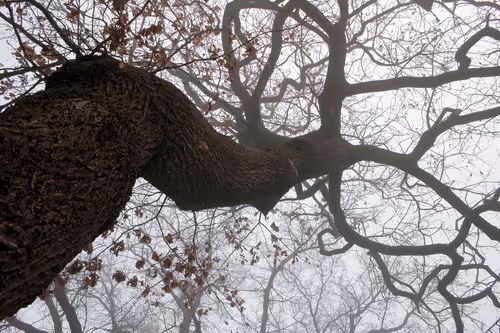 Item #13606181839721576894155883308236999132816604807813273145513526392348200665089 Media