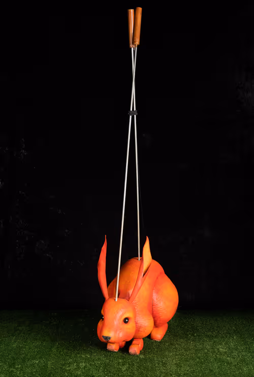 Item #57804796688855264026974714255100123256465046152350675403876709573106262343690 Media