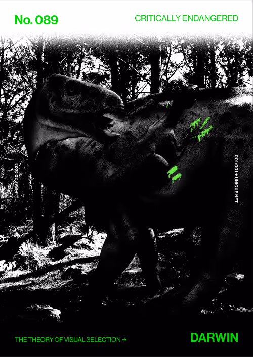 Item #5978613787773959064064561136939516829698711004901919756353002711362381545473 Media