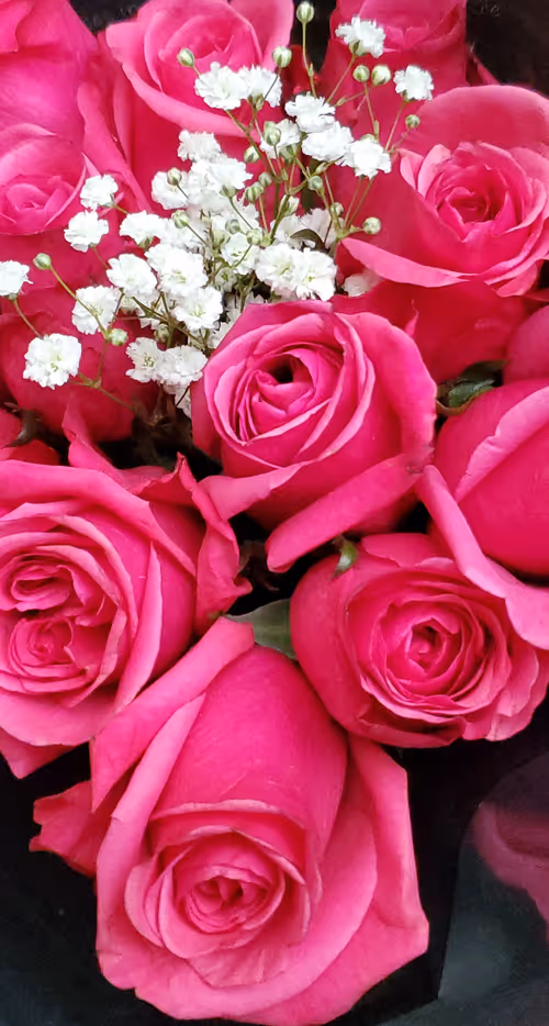 Item #9090638019711989170692124983936525509467431820491857981968889826260648198145 Media