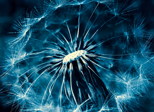 Item #41234467352345795987762093043461783770169044138766201577467704831942196199425 Media