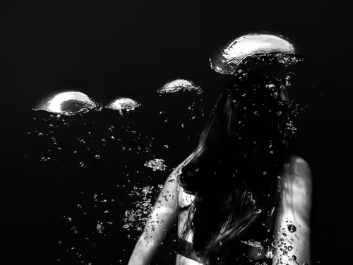 Item #48785457818066054559368395541392267450679449328533831279358886295250476728321 Media