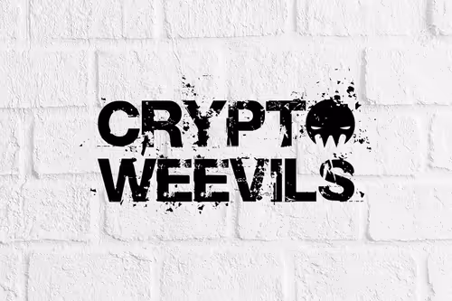 Item #29314157866463614573355053931398882925484977285626546525081320734046705156196 Media