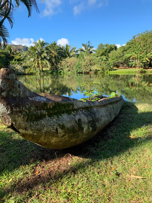 Item #92878865255826321536132190645537413346601958767864056232654340006776617828353 Media