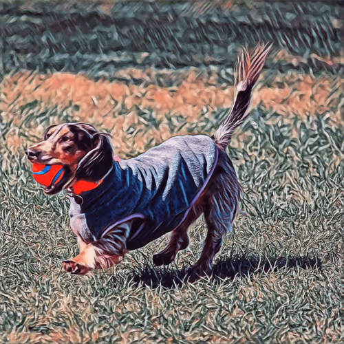 Item #51313302132644519913343847646347811445510524411913136629935893357913217957889 Media