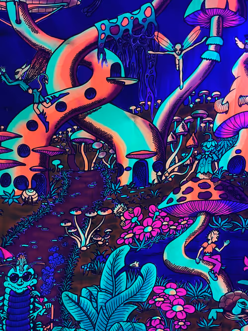 Item #30740302589079776519759082537500895011913059495583463667508883381359457861633 Media