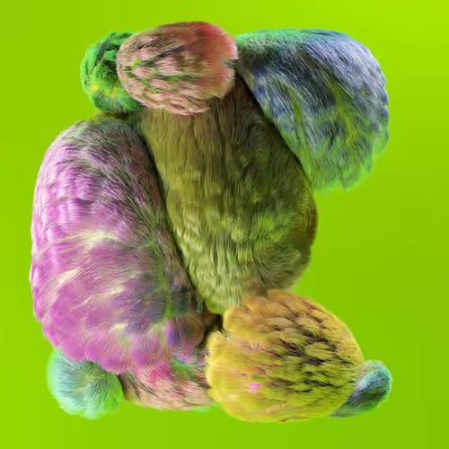 Item #12800050005 Media