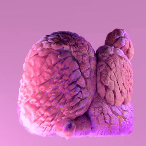 Item #12800090014 Media