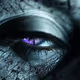 For your eyes only