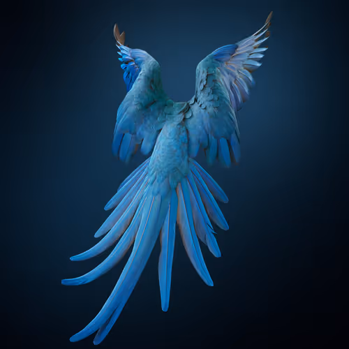 Unextinct Return of the Spixs Macaw by Tim Flach