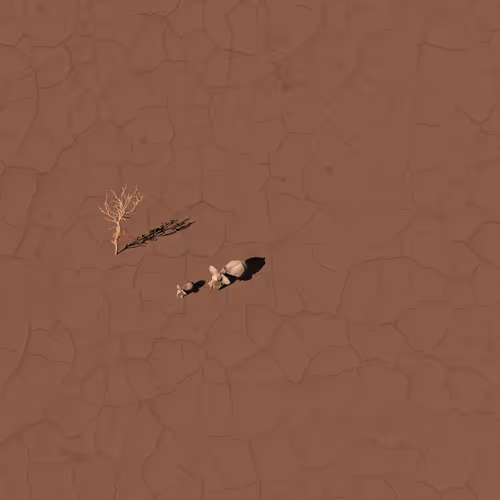 Harsh Landscapes