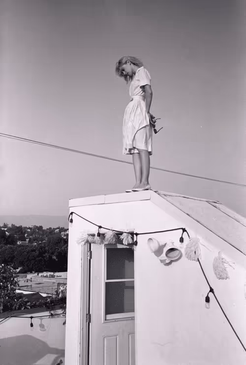 Item #1020847100762815390390123822295304634406 Media